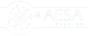 Aesa-Seguros-2.png